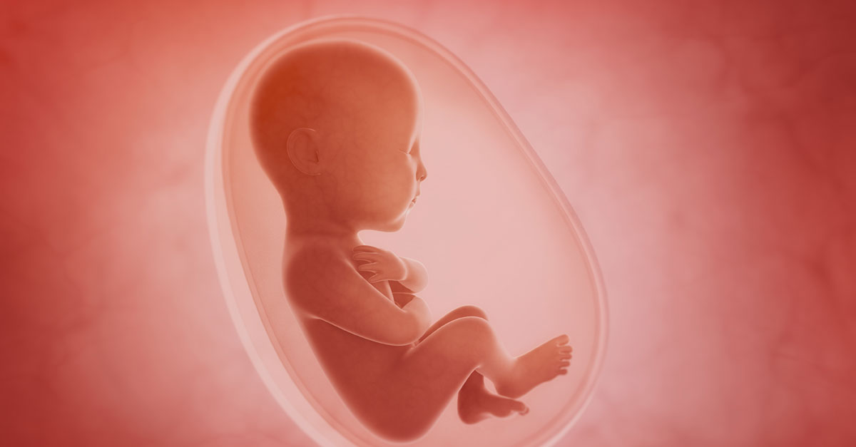 Ưu nhược điểm của tai nghe bầu